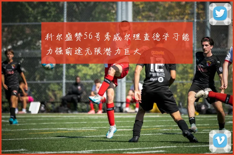 科尔盛赞56号秀威尔理查德学习能力强前途无限潜力巨大