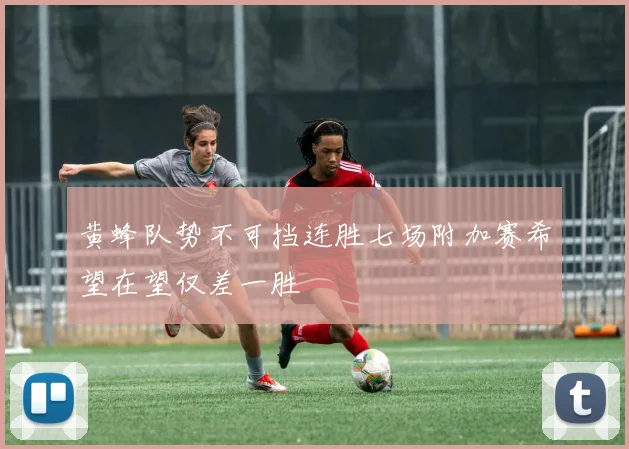 黄蜂队势不可挡连胜七场附加赛希望在望仅差一胜