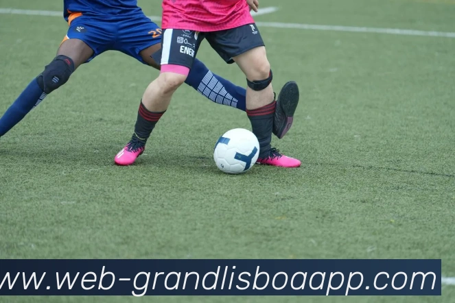 新葡京娱乐发展历程